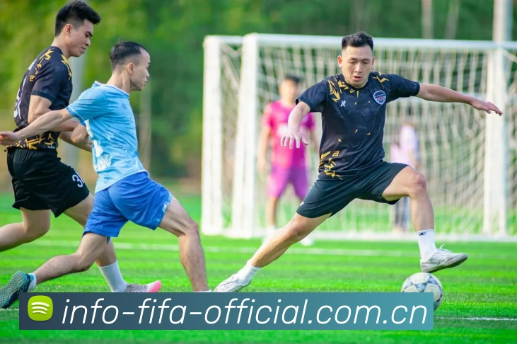 FIFA官方数据授权证书